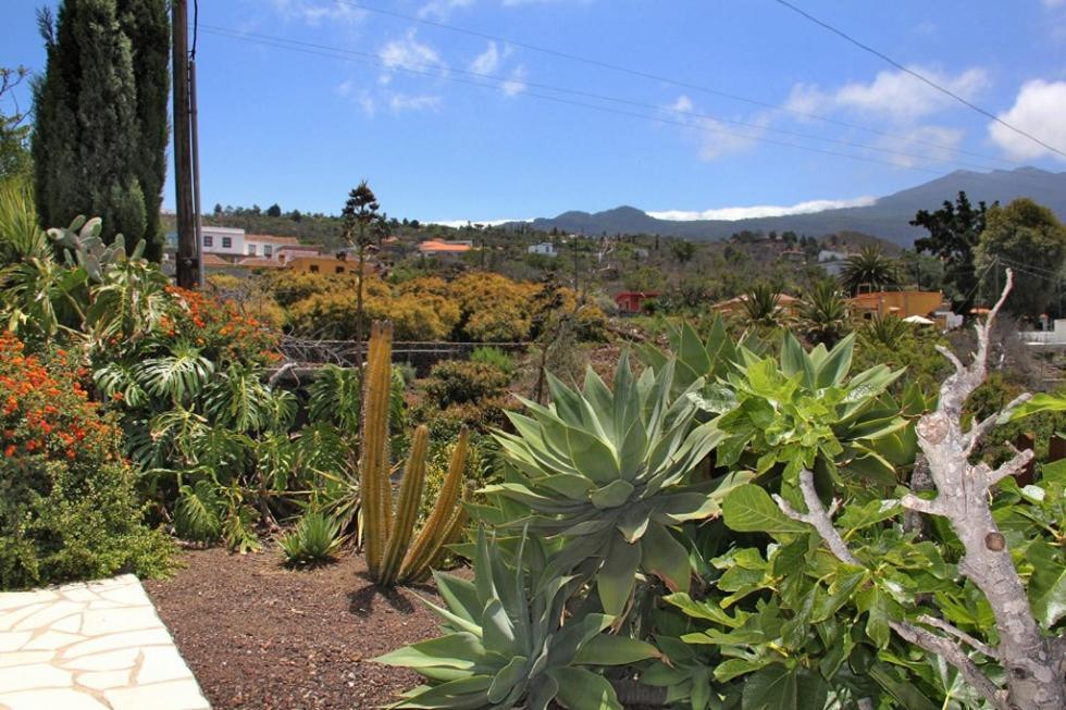 Jardin De Aridane Hotell El Paso Exteriör bild